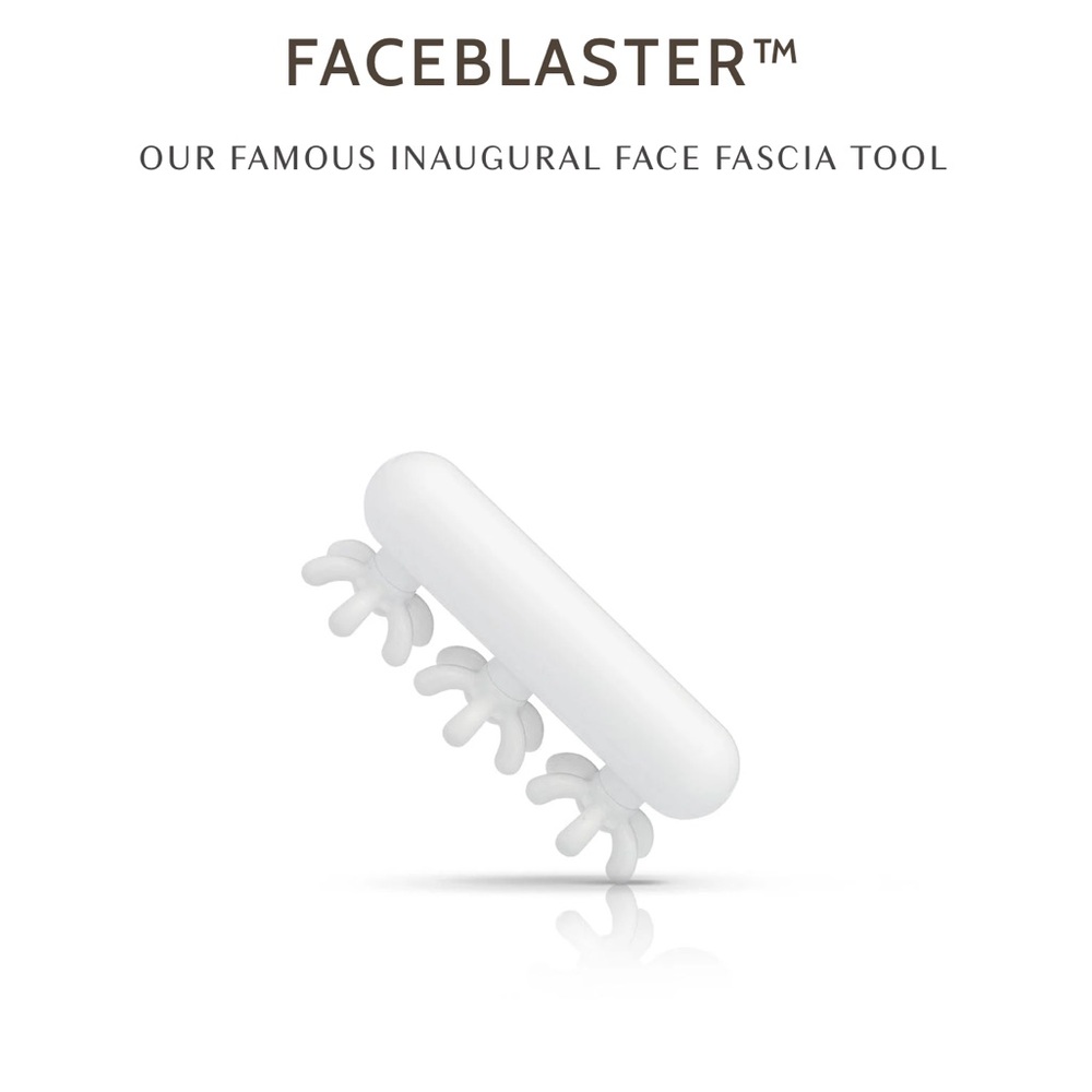Ashley Black Faceblaster tool sealed